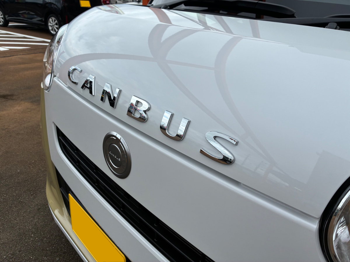 お車施工画像